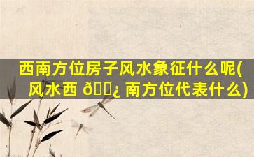 西南方位房子风水象征什么呢(风水西 🌿 南方位代表什么)